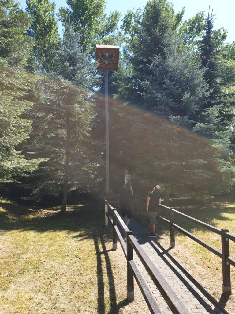 Vogelschießen